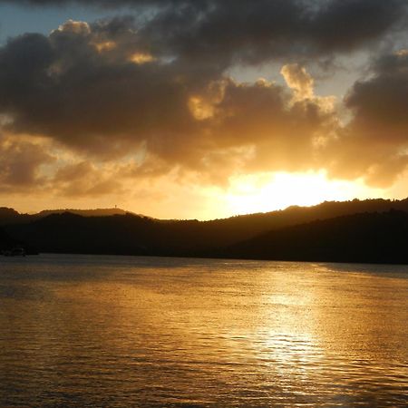 Cozy T2 Calme Au Coeur De La Nature ラ・トリニテ エクステリア 写真